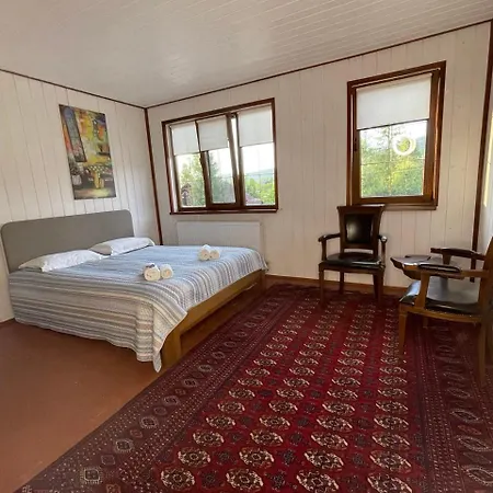 Galushko * Mykulychyn